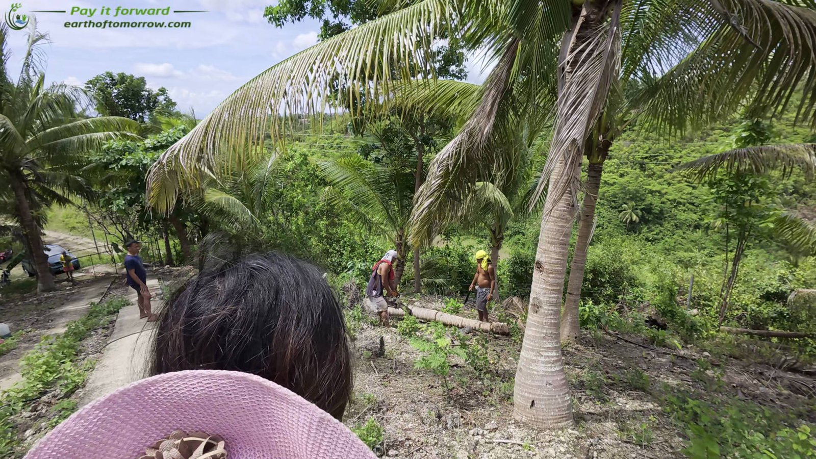 A Norwegian man's update about the progress on our land in the Philippines