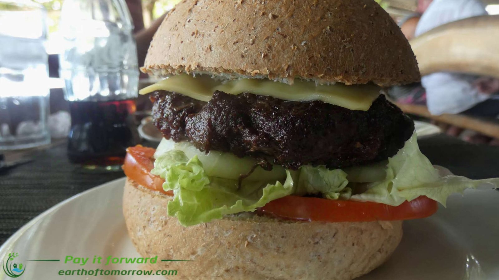 We review Get Wrecked in San Juan Siquijor